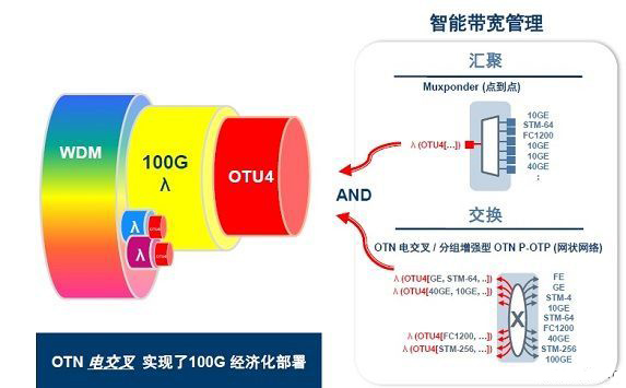 100G OTN处理器加速推进光网带宽虚拟化