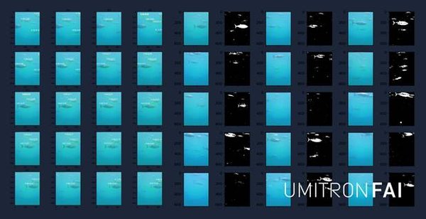 UMITRON推出首款实时海洋鱼类食欲检测系统