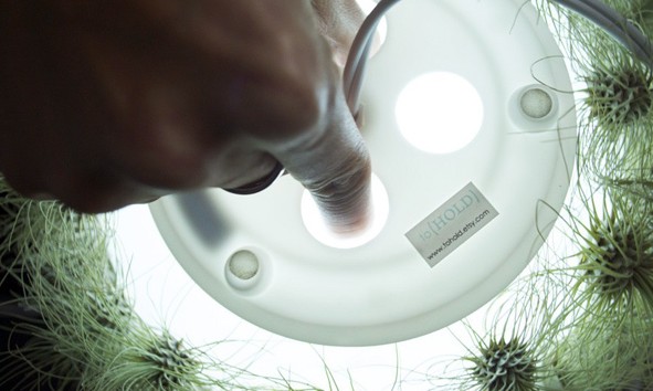 利用MSP430进行呼吸灯的程序设计